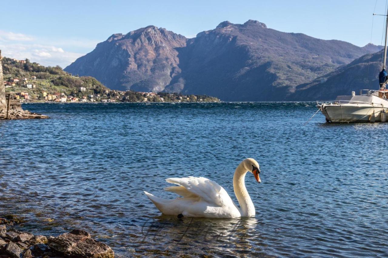 -Appartamento Il Molo- A Due Passi Del Lago Lierna Buitenkant foto